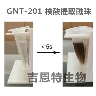 GNT-201 核酸提取磁珠