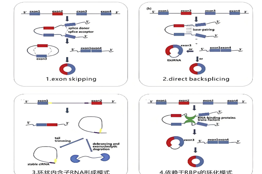 1765244218716696.png image.png