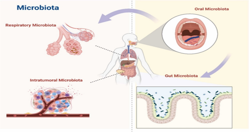 1772068491620341.png image.png