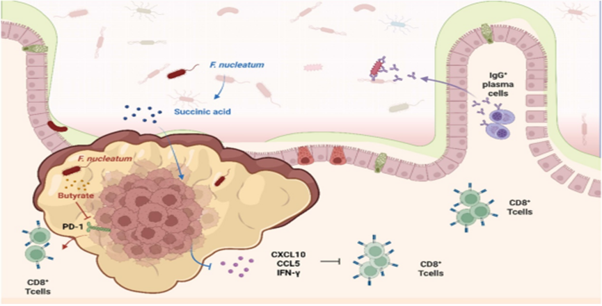 1772068520616751.png image.png