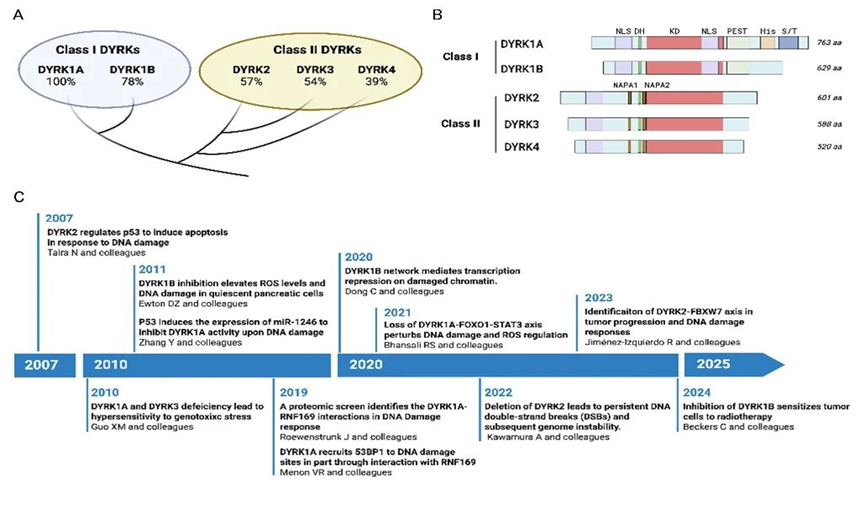 1774487754495937.png image.png